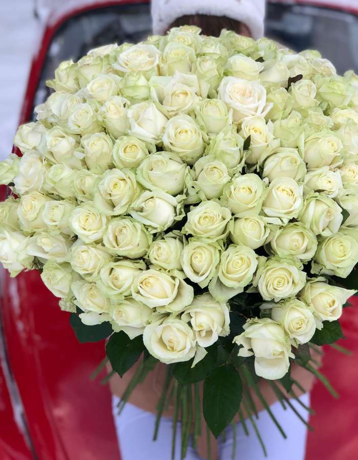 Букет из 101 высокой розы сорта Аваланж "Белоснежное Облако"