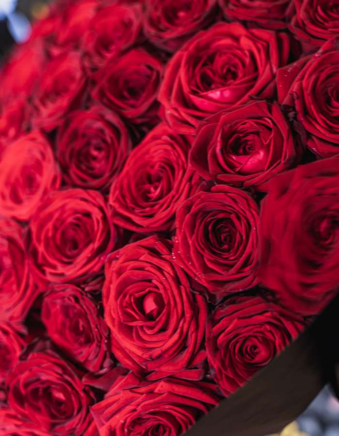 Букет из красных роз сорта Рэд Наоми(Red Naomi) "Ассоль"