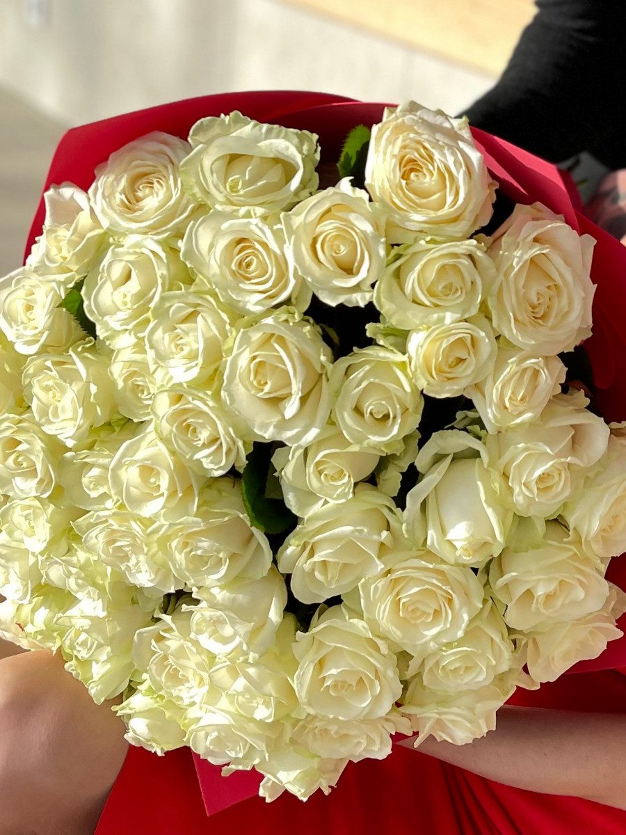 Букет из 51 белой высокой розы сорта Аваланж(Avalanche)