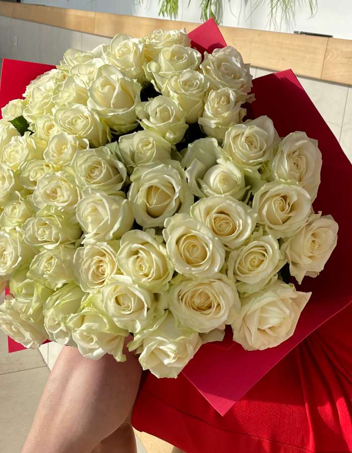 Букет из 51 белой высокой розы сорта Аваланж(Avalanche)