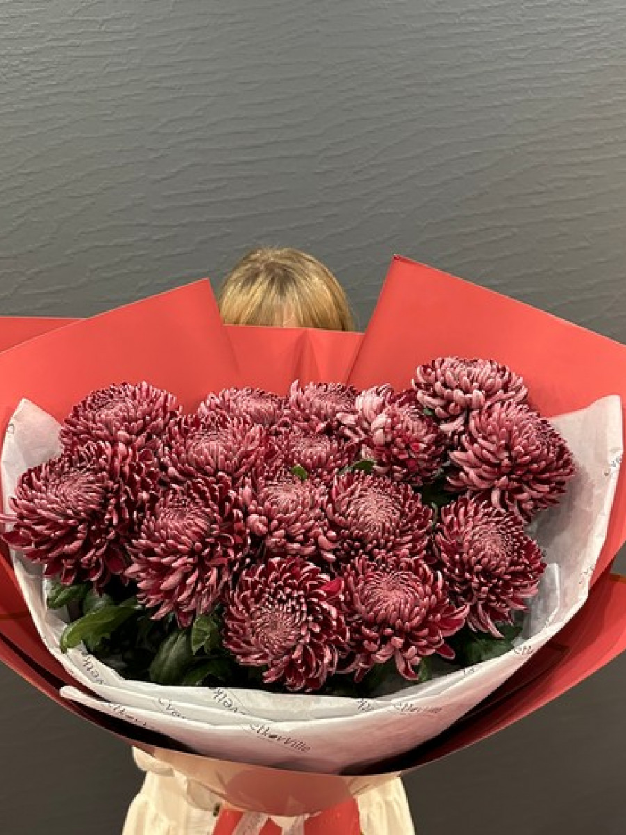 Букет из хризантем сорта Бигуди(Bigoudi) "Вьющееся Изящество"