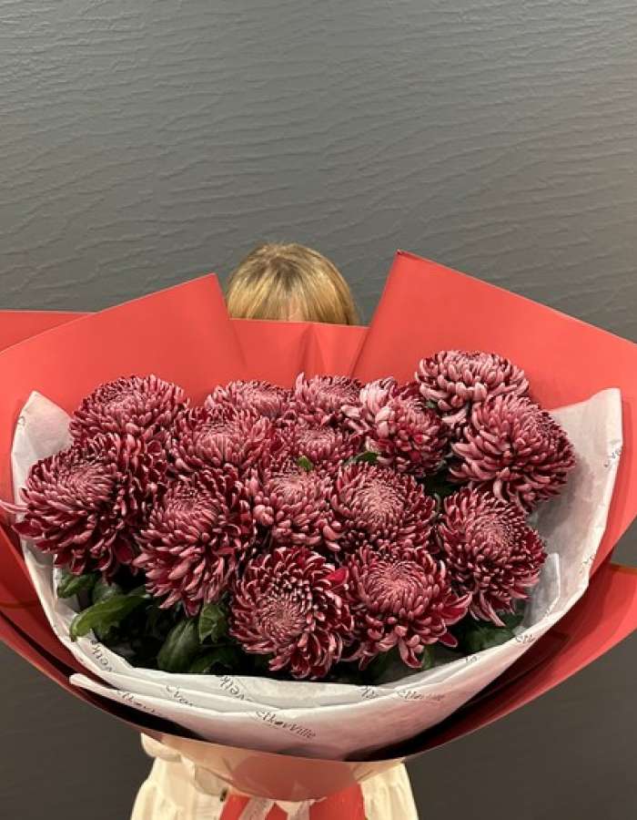 Букет из хризантем сорта Бигуди(Bigoudi) "Вьющееся Изящество"