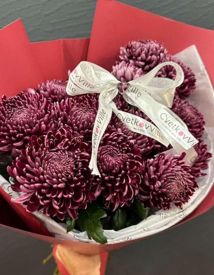 Букет из хризантем сорта Бигуди(Bigoudi) "Вьющееся Изящество"