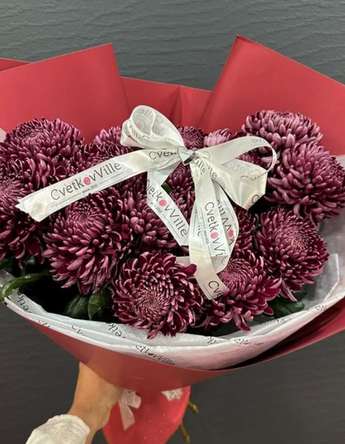 Букет из хризантем сорта Бигуди(Bigoudi) "Вьющееся Изящество"