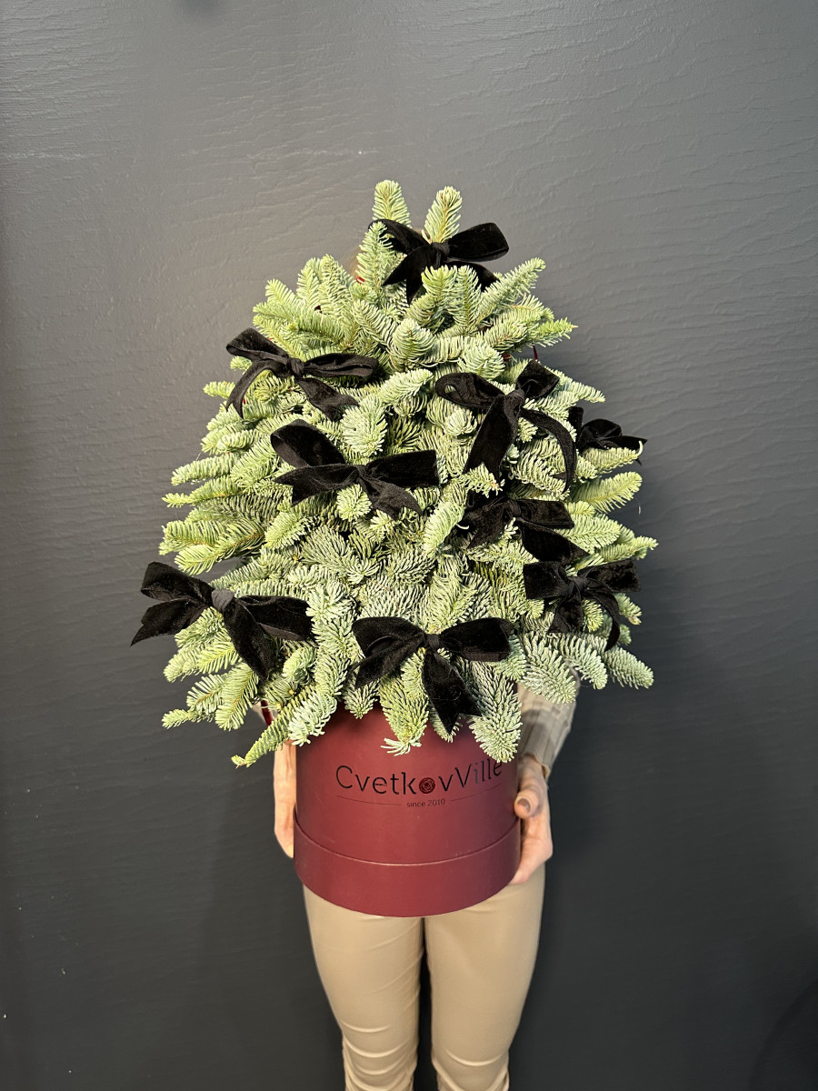 Новогодняя композиция из нобилиса "Зеленая красавица"