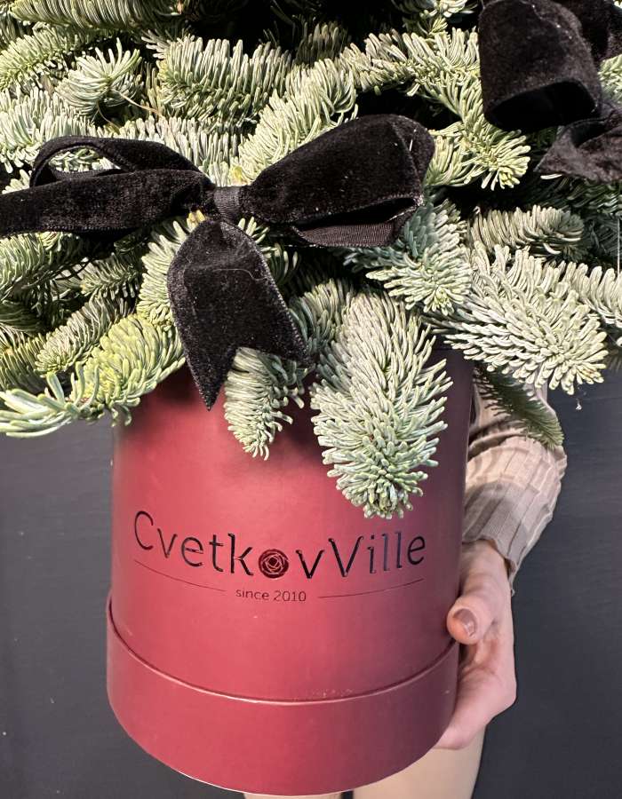 Новогодняя композиция из нобилиса "Зеленая красавица"