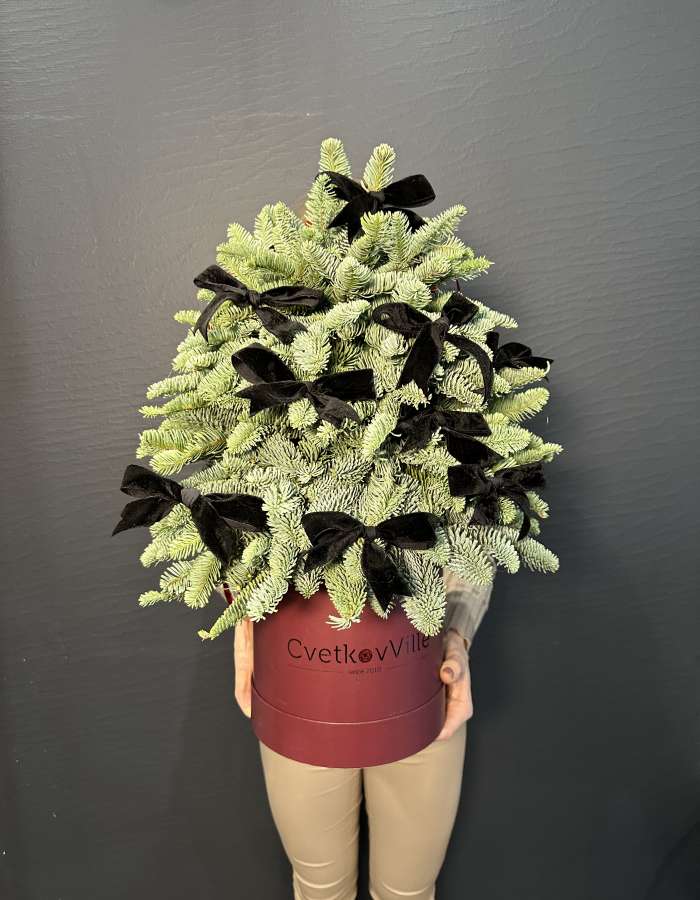 Новогодняя композиция из нобилиса "Зеленая красавица"