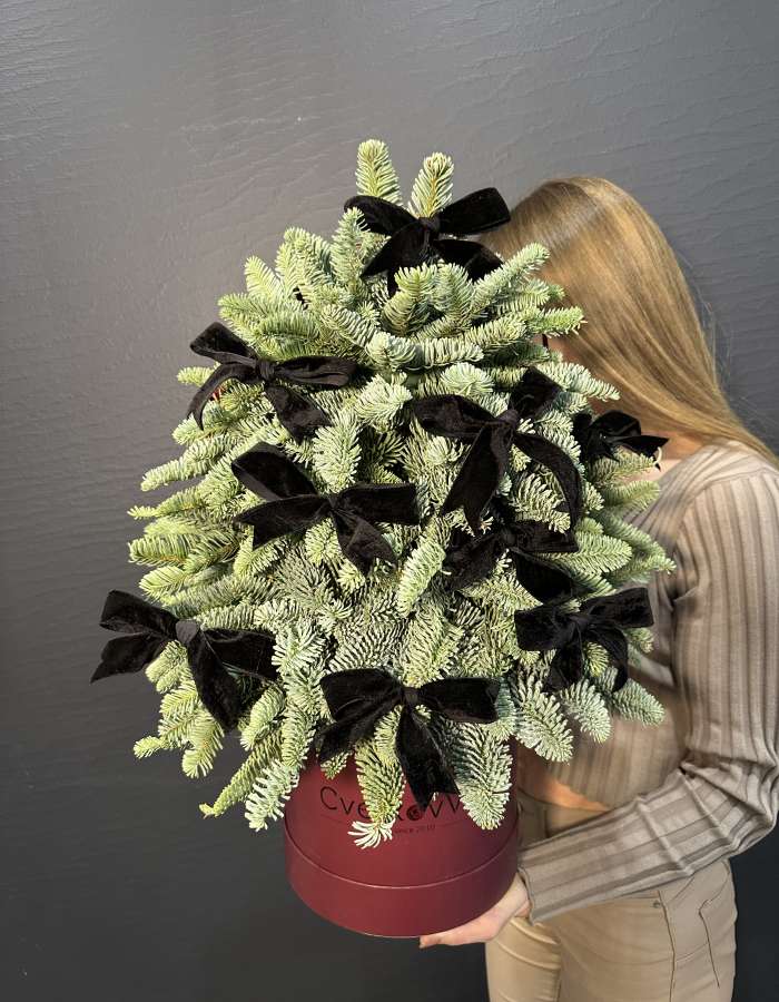 Новогодняя композиция из нобилиса "Зеленая красавица"