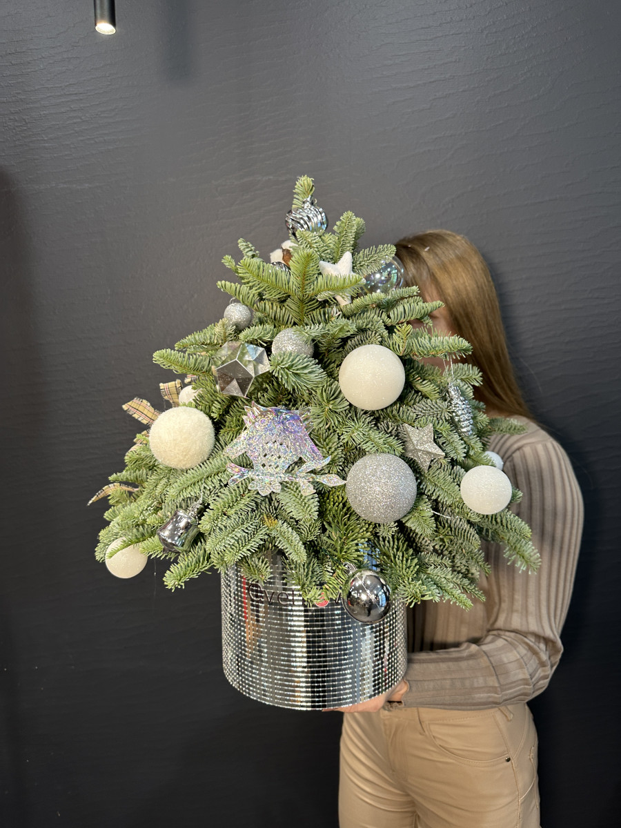 Новогодняя композиция из Нобилиса "Серебро"