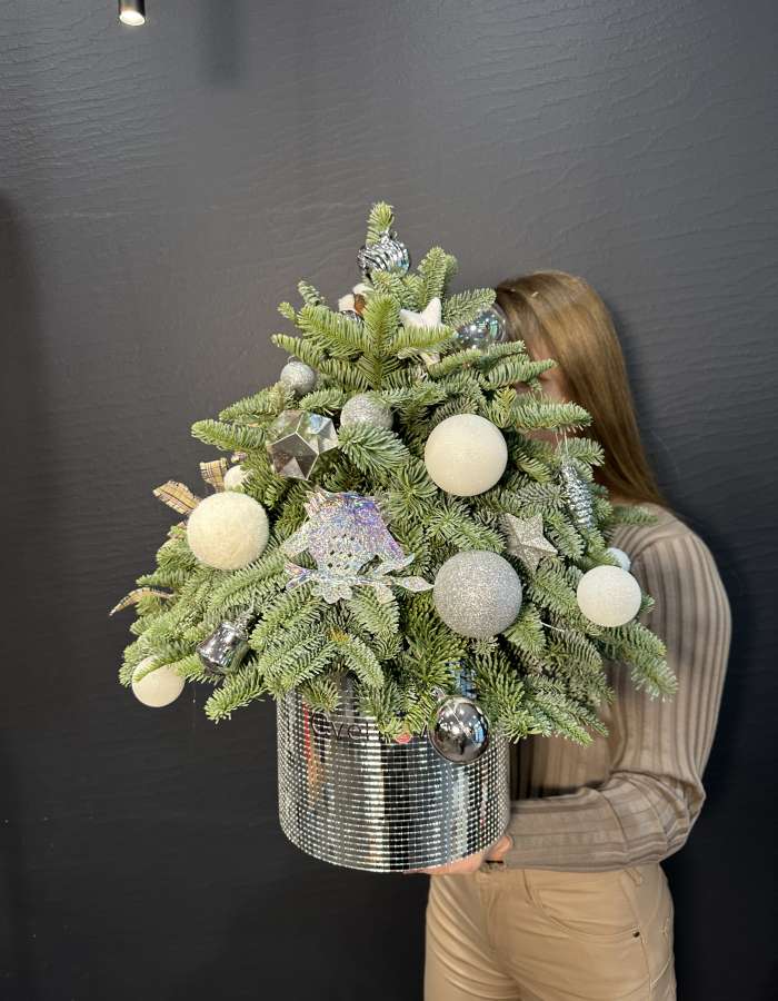 Новогодняя композиция из Нобилиса "Серебро"