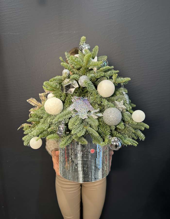 Новогодняя композиция из Нобилиса "Серебро"