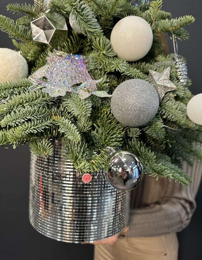 Новогодняя композиция из Нобилиса "Серебро"