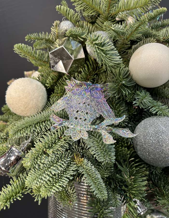 Новогодняя композиция из Нобилиса "Серебро"