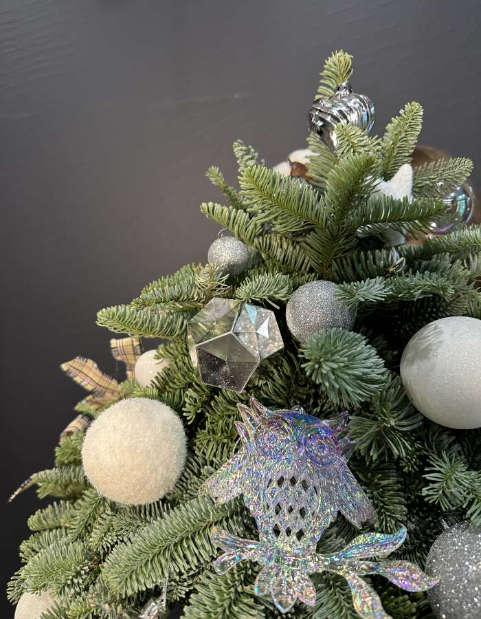 Новогодняя композиция из Нобилиса "Серебро"