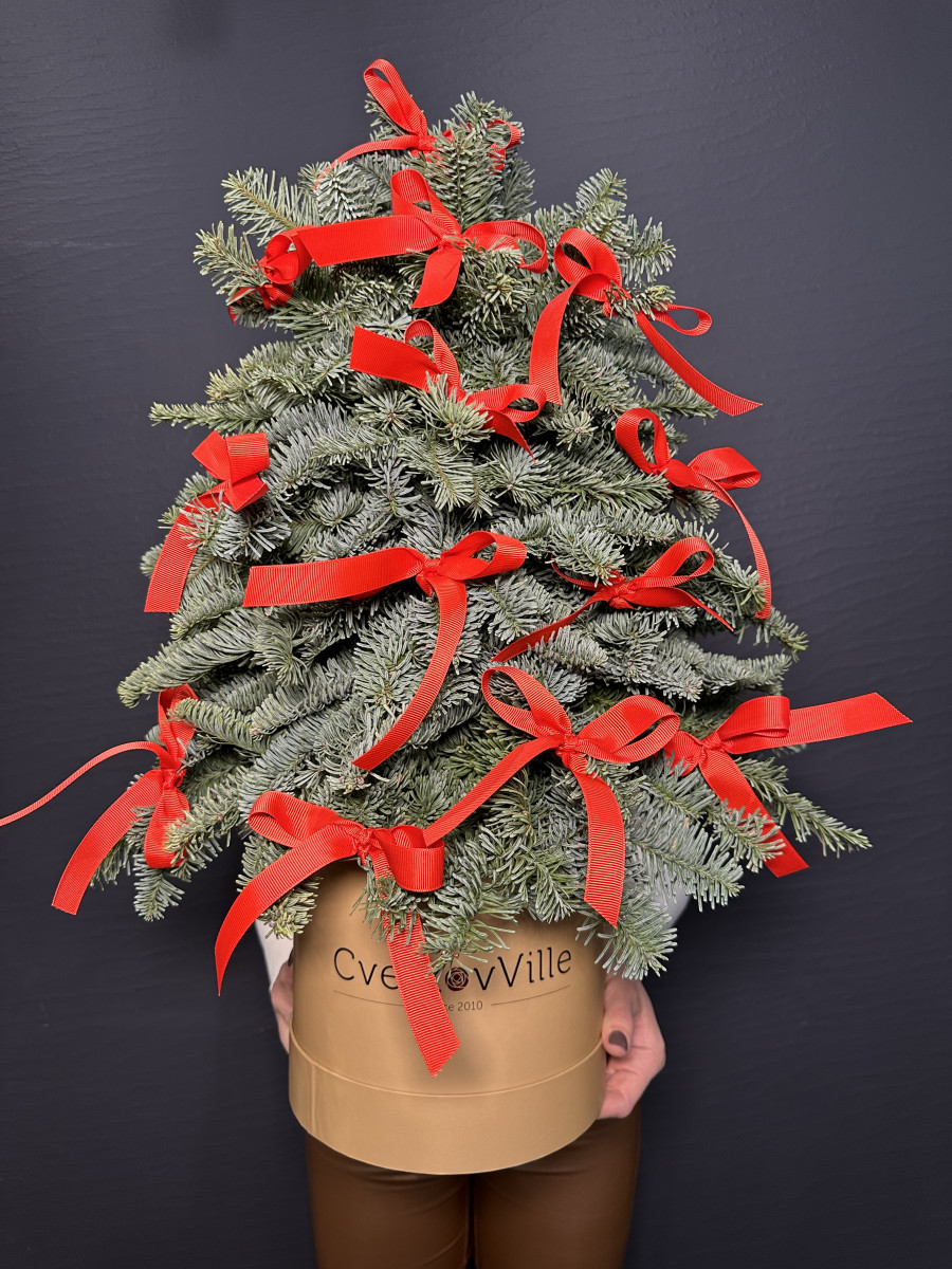 Новогодняя композиция из Нобилиса "Нешуточная ёлочка"