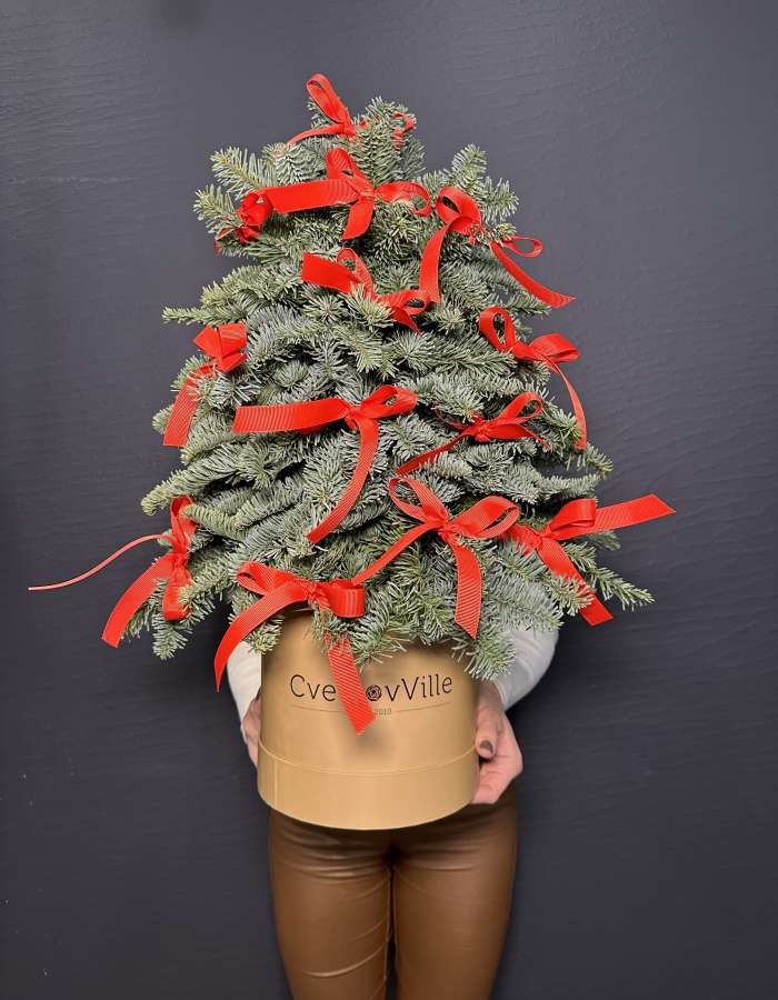 Новогодняя композиция из Нобилиса "Нешуточная ёлочка"