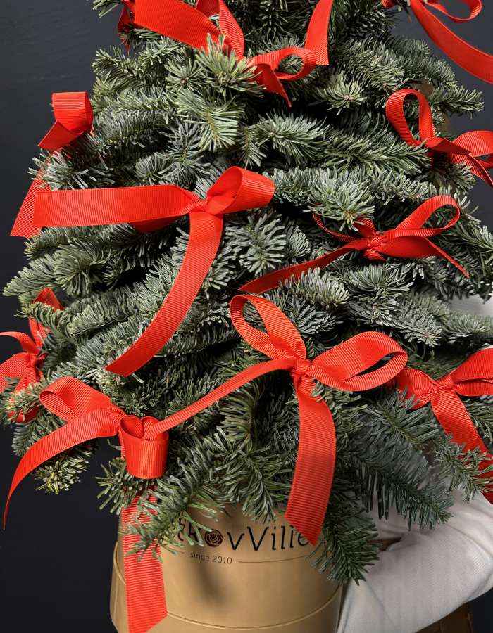 Новогодняя композиция из Нобилиса "Нешуточная ёлочка"