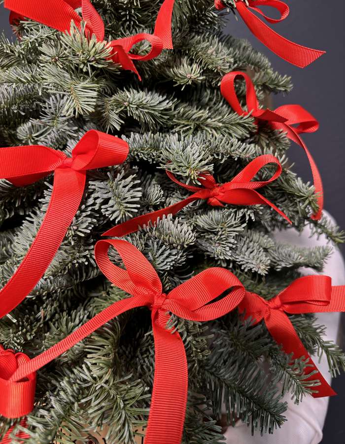 Новогодняя композиция из Нобилиса "Нешуточная ёлочка"