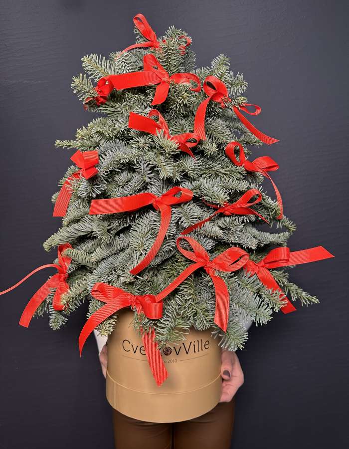 Новогодняя композиция из Нобилиса "Нешуточная ёлочка"