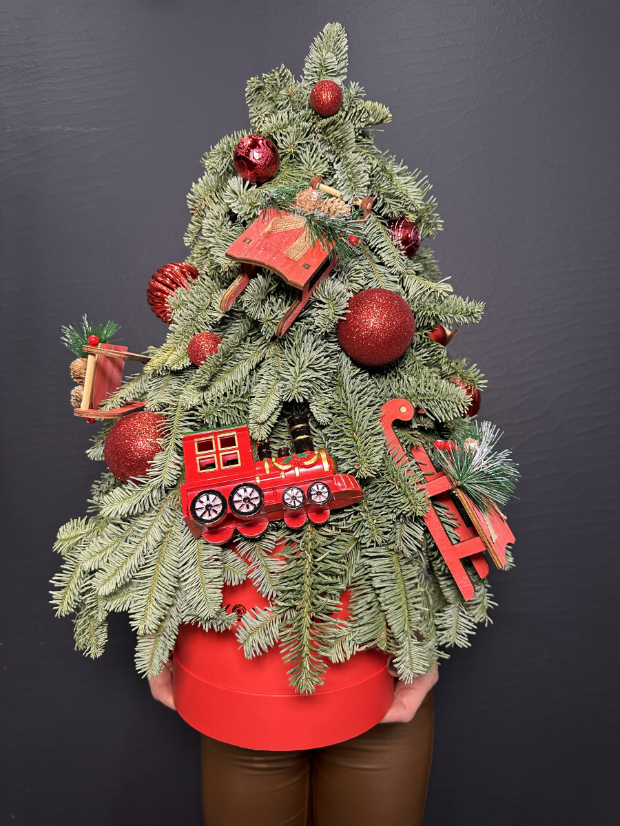 Новогодняя композиция из нобилиса "Дорога в сказку"