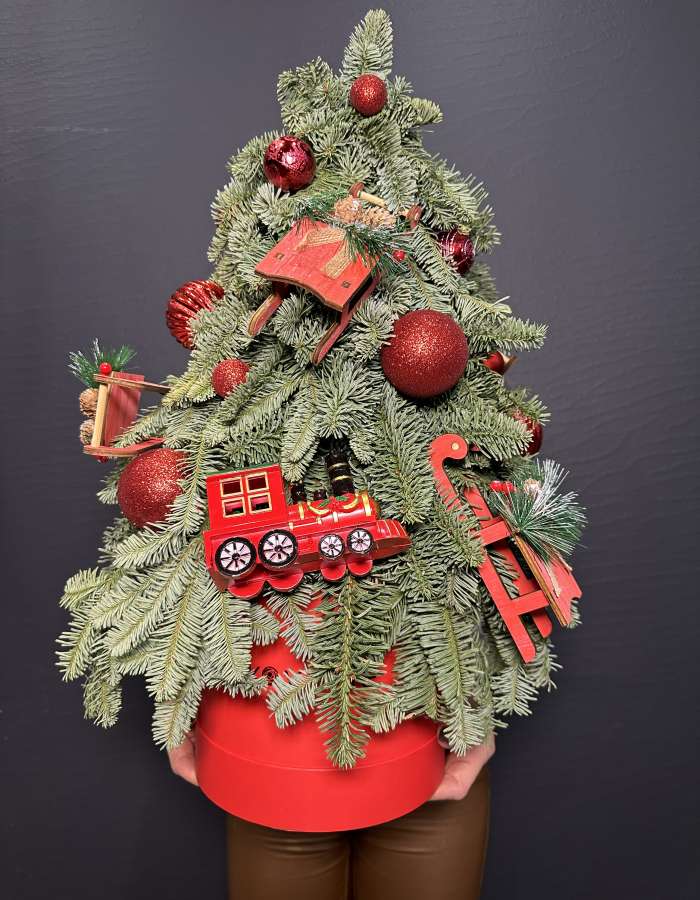 Новогодняя композиция из нобилиса "Дорога в сказку"