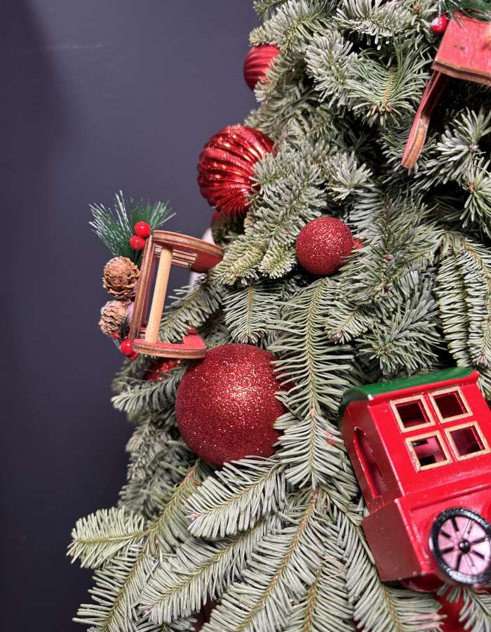 Новогодняя композиция из нобилиса "Дорога в сказку"