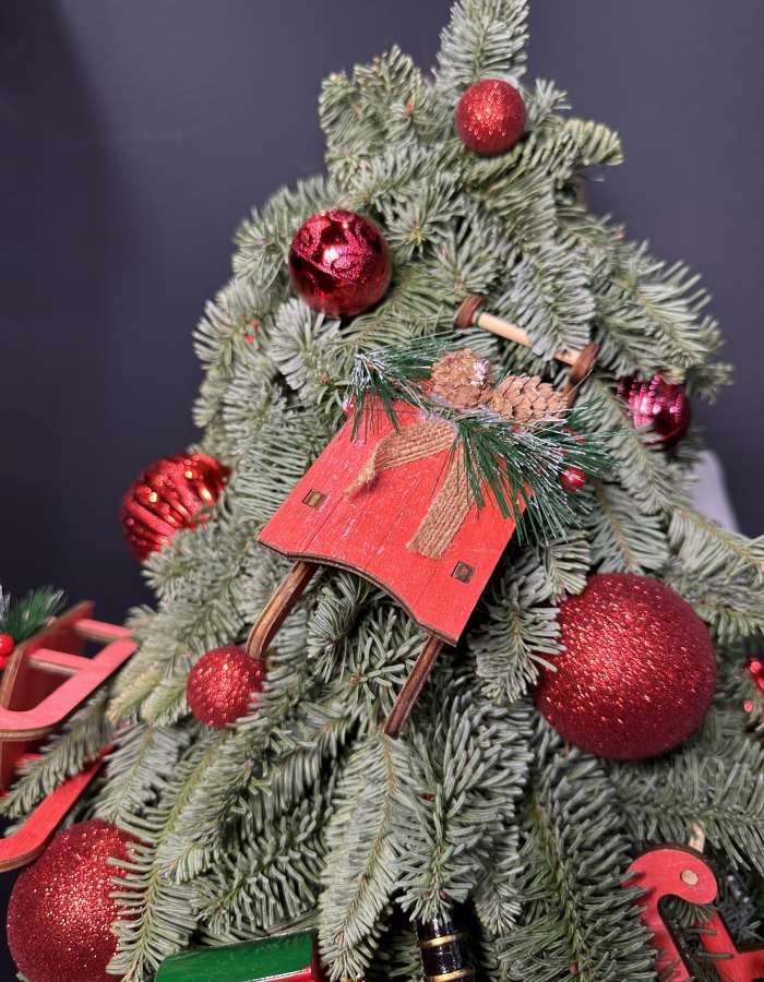 Новогодняя композиция из нобилиса "Дорога в сказку"