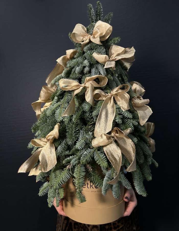 Новогодняя композиция из Нобилиса "Придворная Дама"