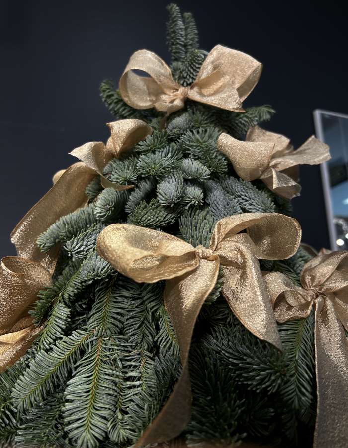 Новогодняя композиция из Нобилиса "Придворная Дама"