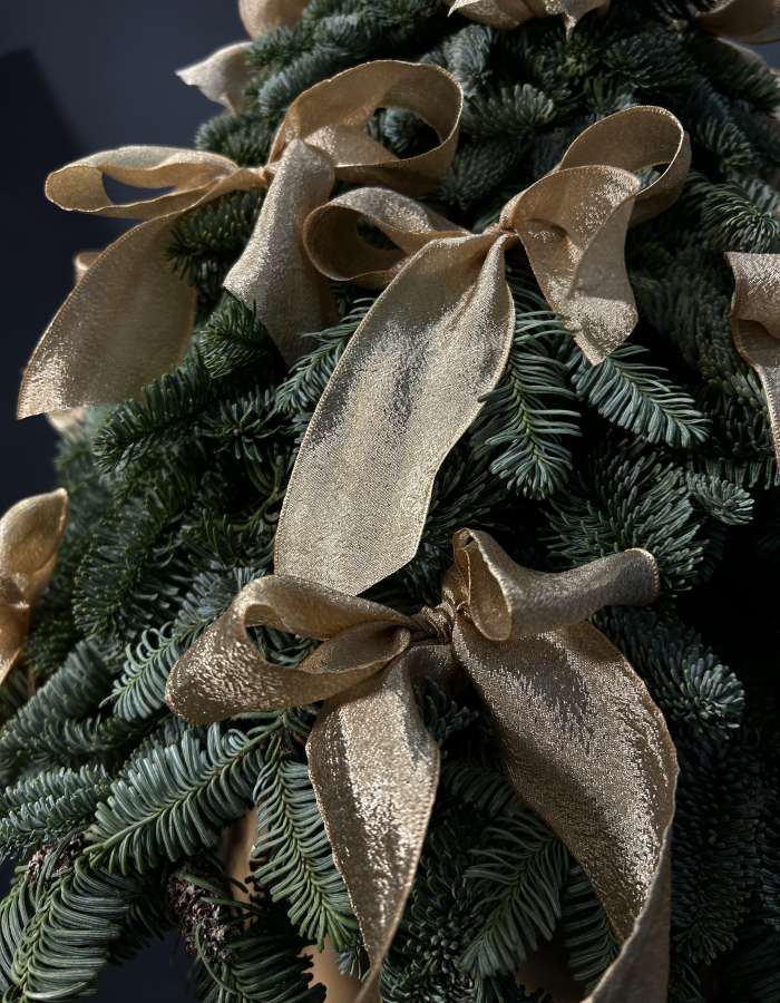 Новогодняя композиция из Нобилиса "Придворная Дама"