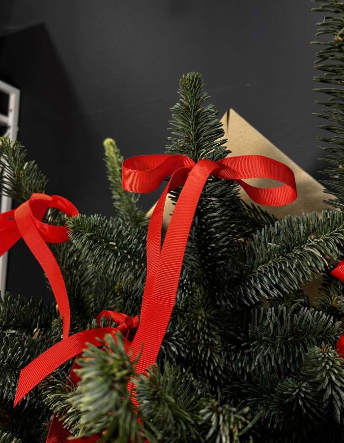 Новогодний букет из нобилиса Зимнее солнце