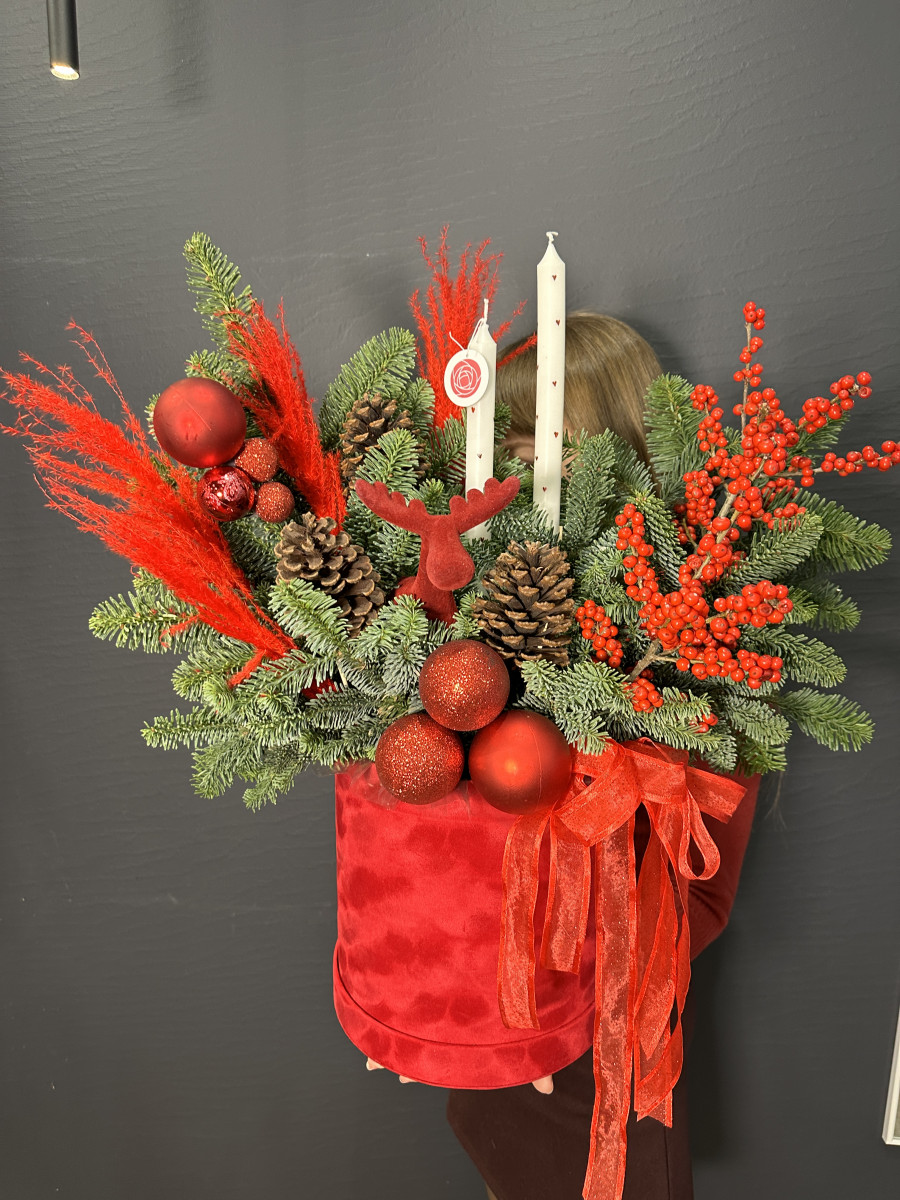 Новогодние композиции с нобилисом