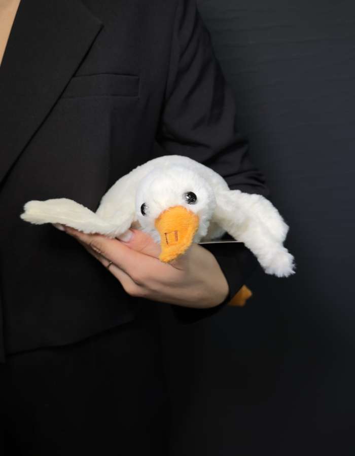 Мягкая Игрушка, Гусь, 50 см