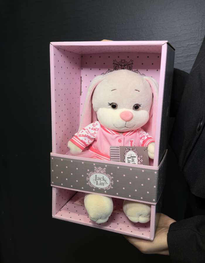 Мягкая Игрушка Jack&Lin, Зайка Лин В Розовом Бомбере С Юбочкой, 20 см, В Коробке