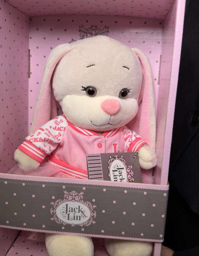 Мягкая Игрушка Jack&Lin, Зайка Лин В Розовом Бомбере С Юбочкой, 20 см, В Коробке