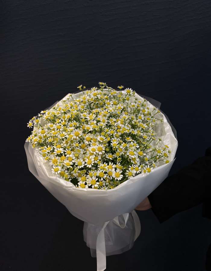 Букет из матрекарии "Ромашковый рай"