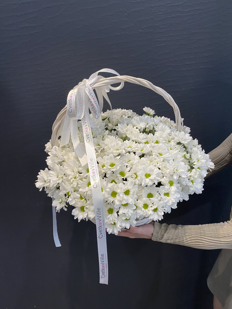 Корзина из белых хризантем сорта Чик(Chic) "Ты - мое все"