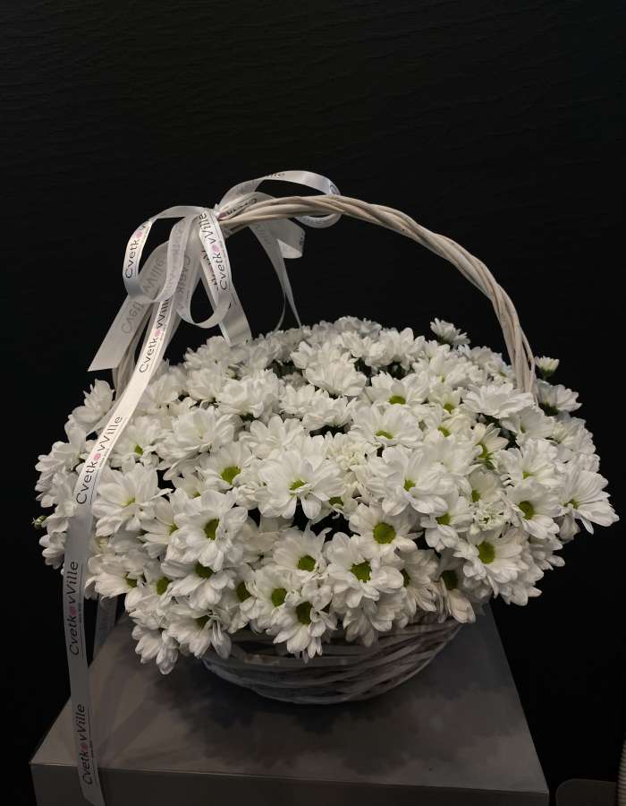 Корзина из белых хризантем сорта Чик(Chic) "Ты - мое все"