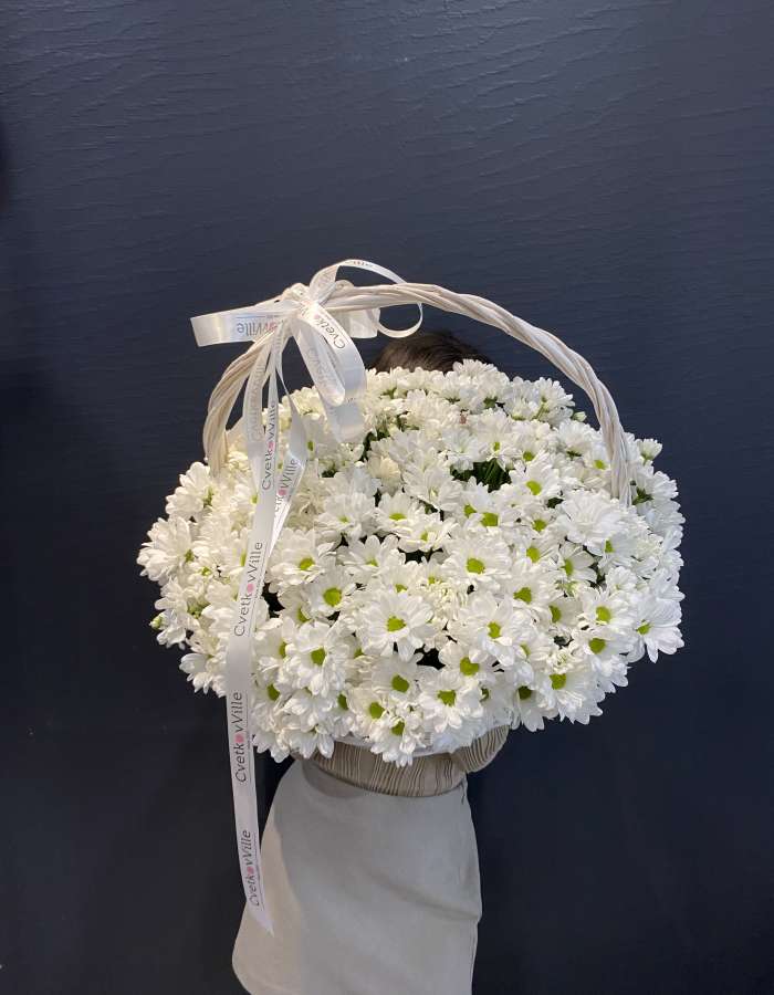 Корзина из белых хризантем сорта Чик(Chic) "Ты - мое все"