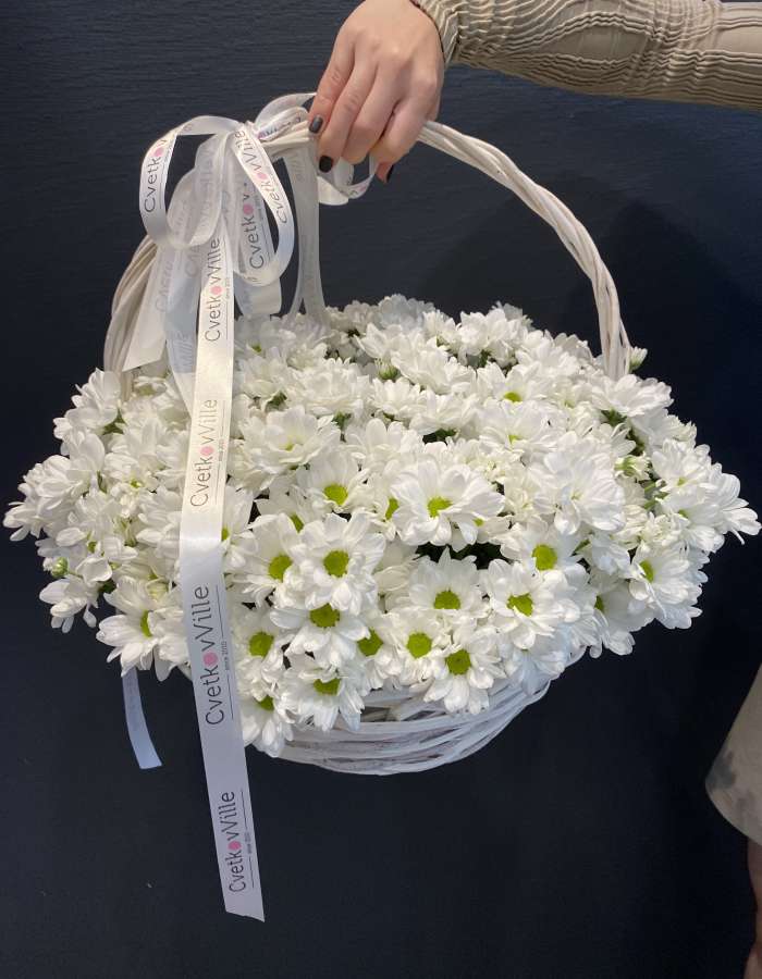 Корзина из белых хризантем сорта Чик(Chic) "Ты - мое все"
