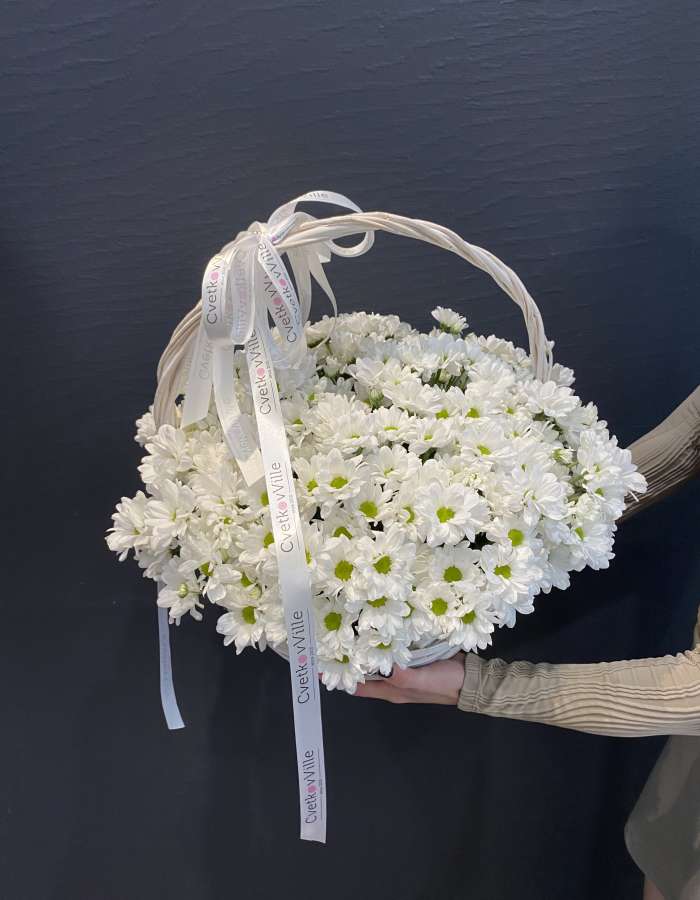 Корзина из белых хризантем сорта Чик(Chic) "Ты - мое все"