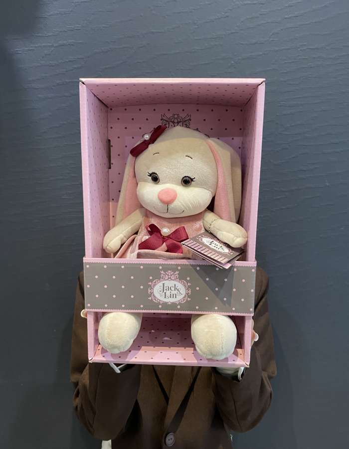 Мягкая Игрушка Jack&Lin, Зайка Лин В Розовом Бархатном Платьице С Бантиком, 20 см, В Коробке