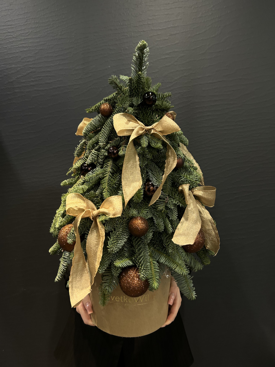 Новогодняя композиция из Нобилиса "Стильная елочка"