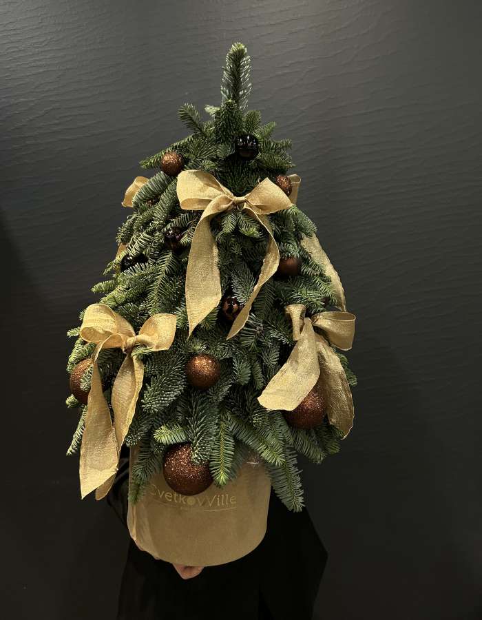Новогодняя композиция из Нобилиса "Стильная елочка"