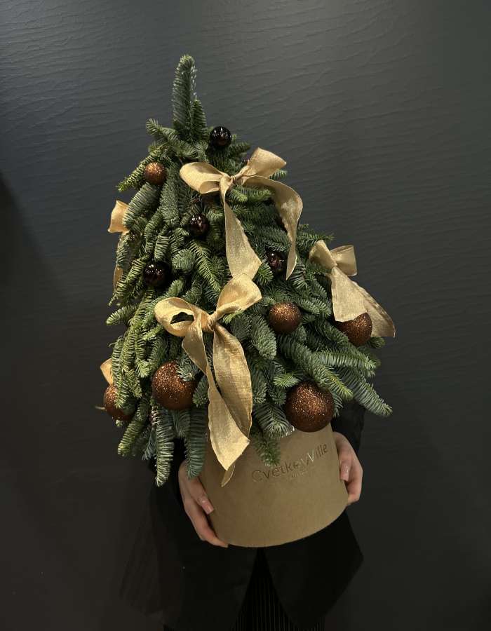 Новогодняя композиция из Нобилиса "Стильная елочка"