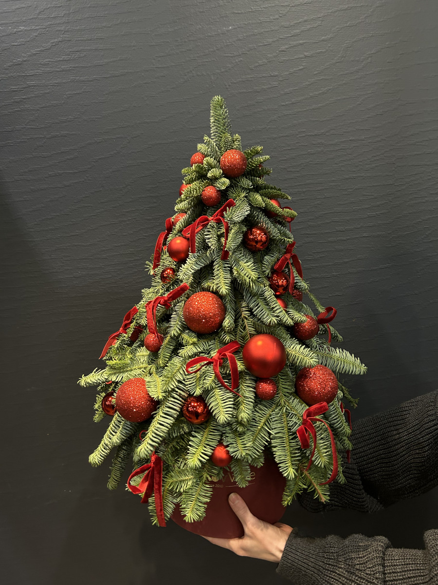 Новогодняя композиция из нобилиса "Канун рождества"