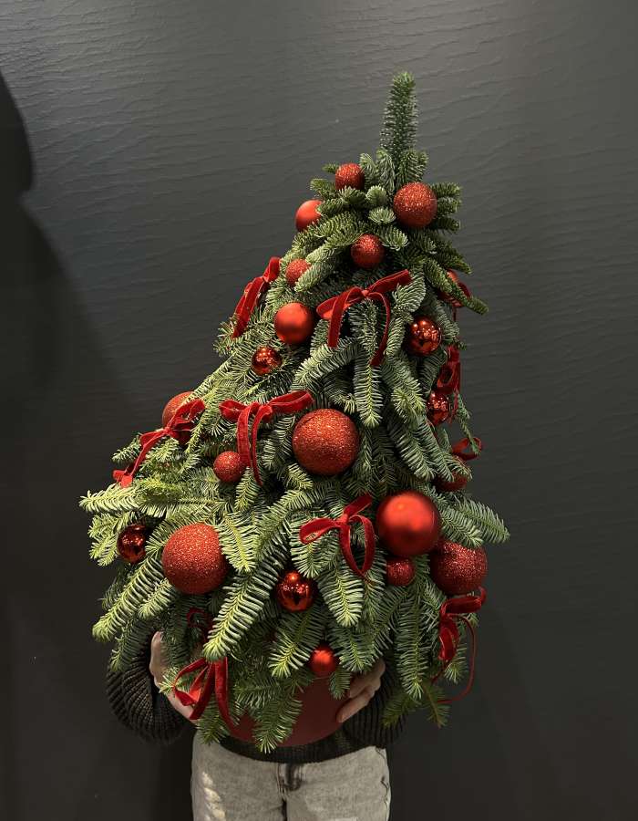 Новогодняя композиция из нобилиса "Канун рождества"