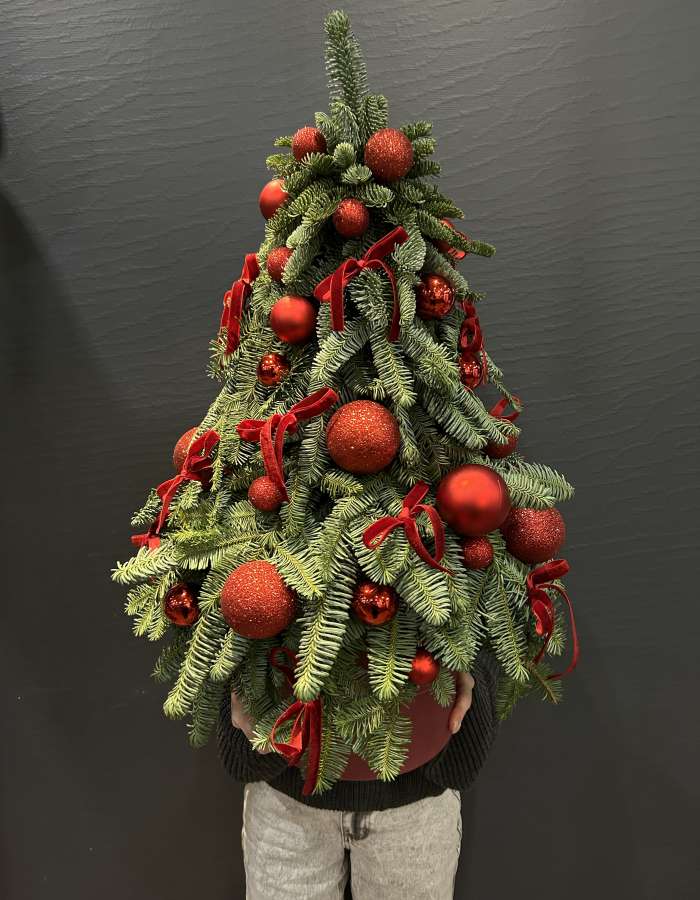 Новогодняя композиция из нобилиса "Канун рождества"