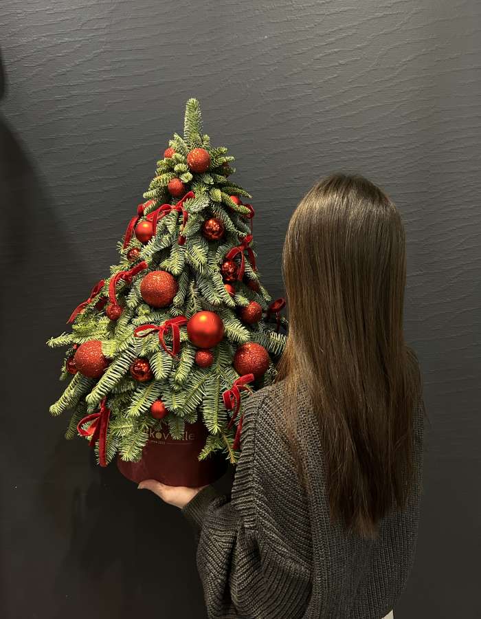 Новогодняя композиция из нобилиса "Канун рождества"