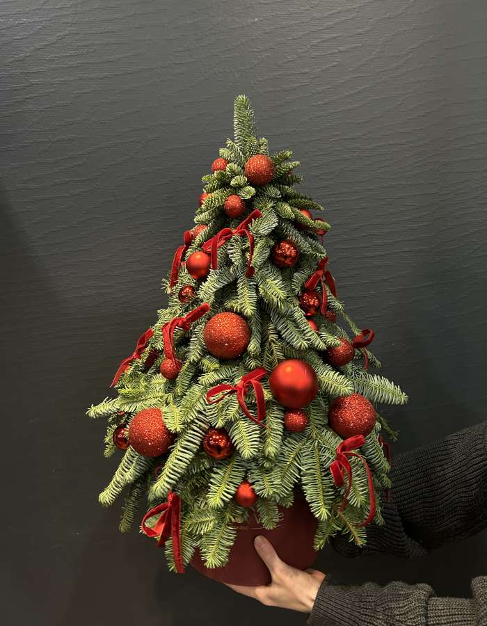 Новогодняя композиция из нобилиса "Канун рождества"